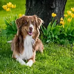 Riverside Retreat Viroinval * Treignes