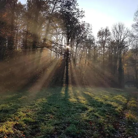 Prázdninový dům Riverside Retreat Viroinval Treignes