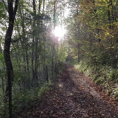 Prázdninový dům Riverside Retreat Viroinval