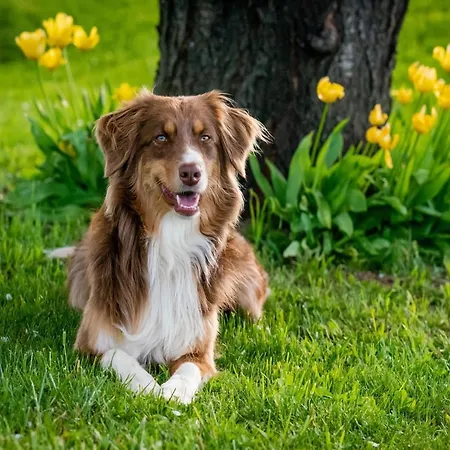 Riverside Retreat Viroinval Treignes