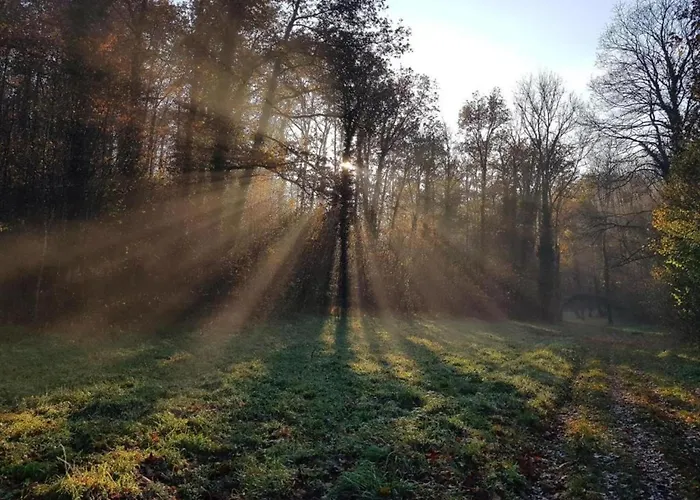 Dom wakacyjny Riverside Retreat Viroinval