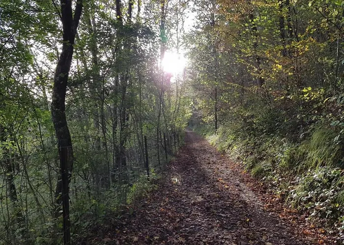 Riverside Retreat Viroinval Dom wakacyjny