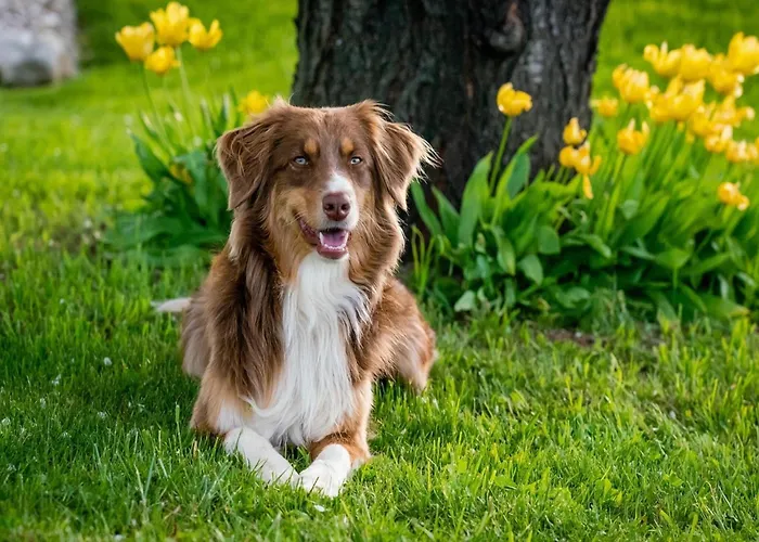 Riverside Retreat Viroinval * Treignes